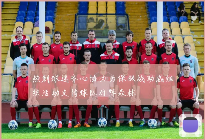 热刺球迷齐心协力为保级战助威组织活动支持球队对阵森林