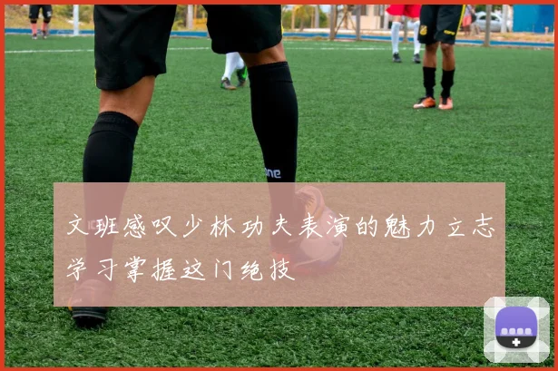 文班感叹少林功夫表演的魅力立志学习掌握这门绝技